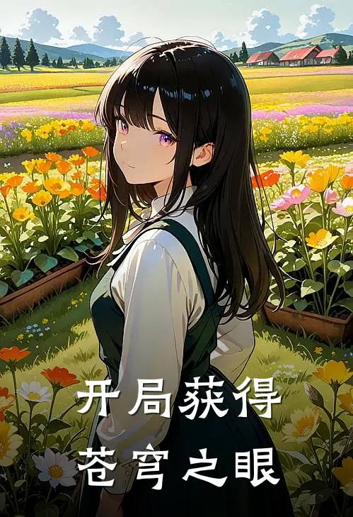 开局获得苍穹之眼