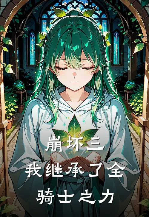 崩坏三：我继承了全骑士之力