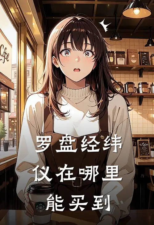 罗盘经纬仪在哪里能买到