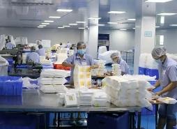 除湿技术的个性化解决方案：满足您的独特需求